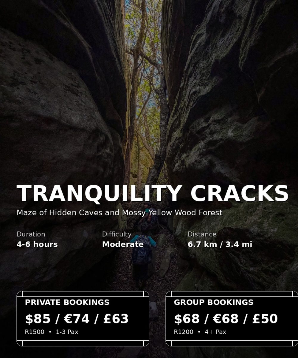 tranquility_cracks_promo